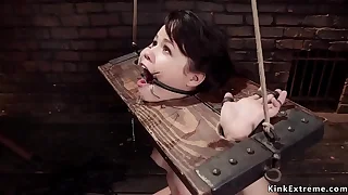 Asian spinner anal fucked in bondage
